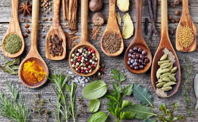 Ayurveda Business Ideas