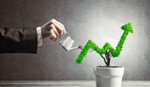 Most Profitable Business