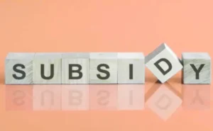 Subsidy