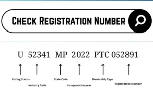 Check Company Registration Number