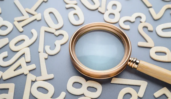 Company Registration Number