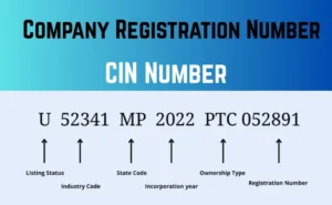 Company Registration Number