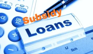 Subsidy Loan for Business